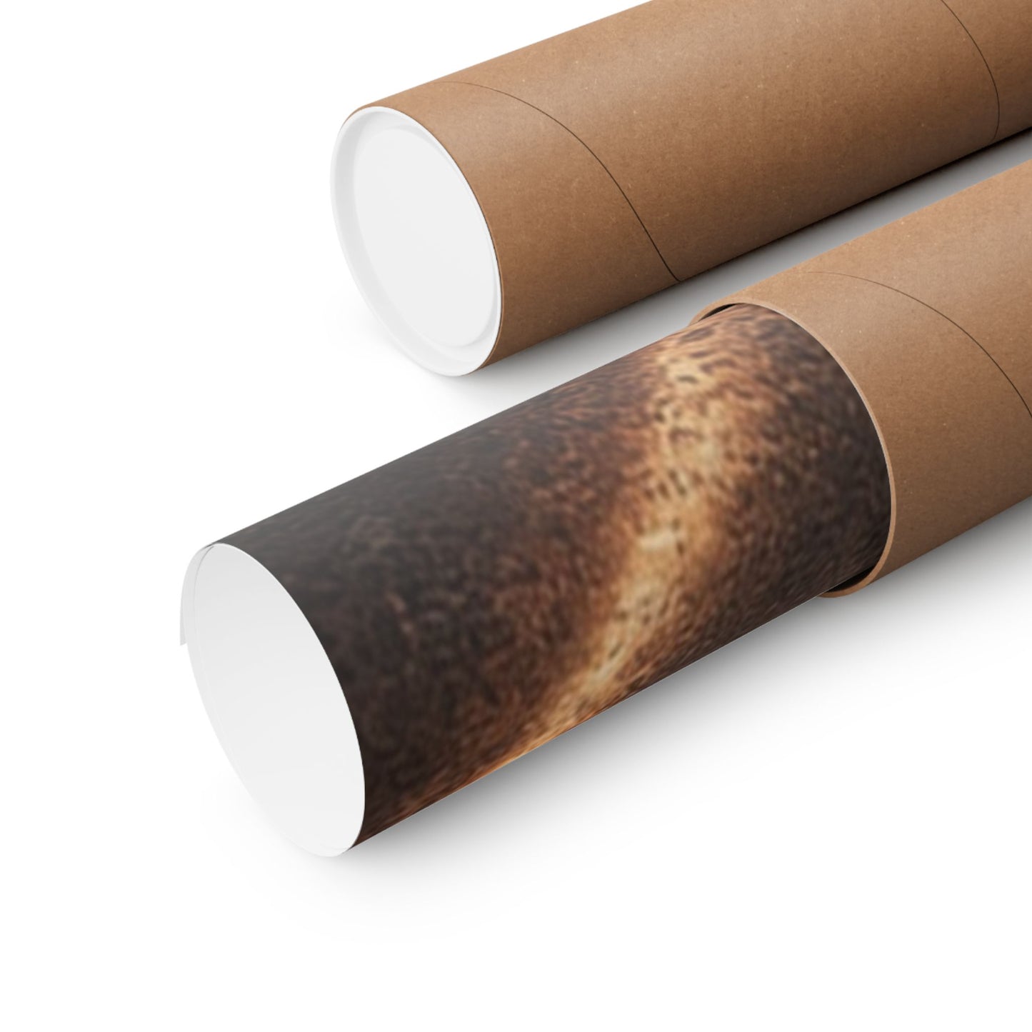 Matte Horizontal Posters