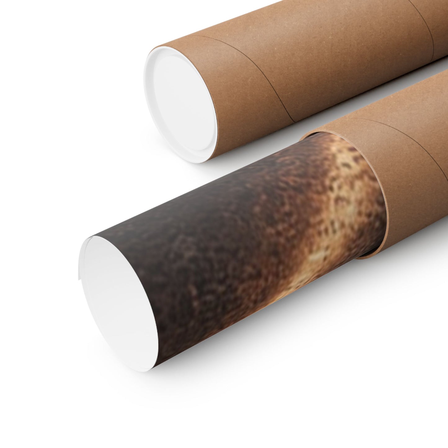 Matte Horizontal Posters